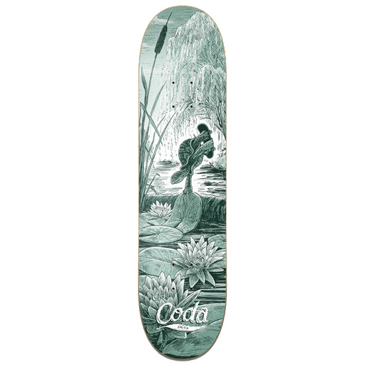 Coda Deck - Pat Smith Turtle 8.5"